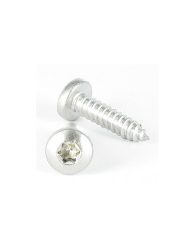 1 x Tornillo Tornillo chapa cabeza abovedada...