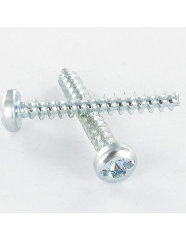 1 x Tornillo pvc cabeza cilíndrica TORX T25...