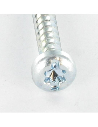 1 x Tornillo pvc cabeza cilíndrica TORX T25...