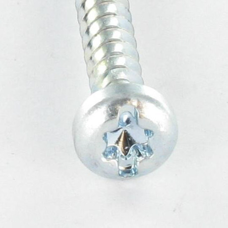 1 x Tornillo pvc cabeza cilíndrica TORX T25 /DEFENDERSE 5X12 Varilla roscada 30 Acero cincado blanco
