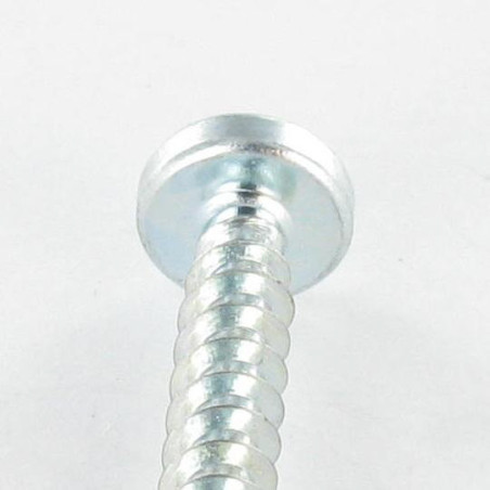 1 x Tornillo pvc cabeza cilíndrica TORX T25 /DEFENDERSE 5X12 Varilla roscada 30 Acero cincado blanco