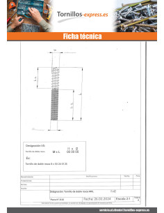 Tornillo mixto para pie de cama 10X120 38 mm roscado... 2