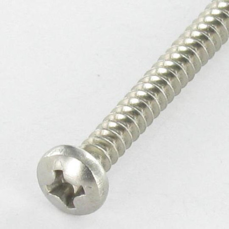 1 x Tornillo chapa cabeza abovedada ancha phillips 4.2X6.5 Inoxidable A2