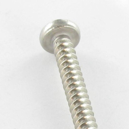 1 x Tornillo chapa cabeza abovedada ancha phillips 4.2X6.5 Inoxidable A2