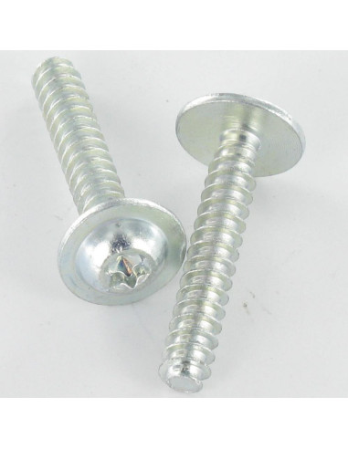 1 x Tornillo pvc cabeza redonda ancha 5X30 TORX...