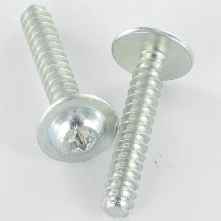1 x Tornillo pvc cabeza redonda ancha 5X30 TORX T25 Acero cincado blanco