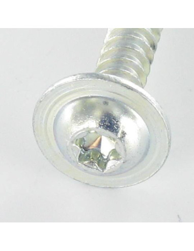 1 x Tornillo pvc cabeza redonda ancha 5X30 TORX...