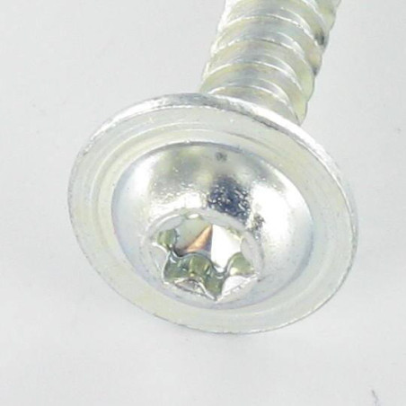 1 x Tornillo pvc cabeza redonda ancha 5X30 TORX T25 Acero cincado blanco