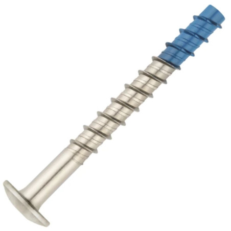 1 x Tornillo hormigón cabeza abombada TORX TORX T30 6X40 Bimetal