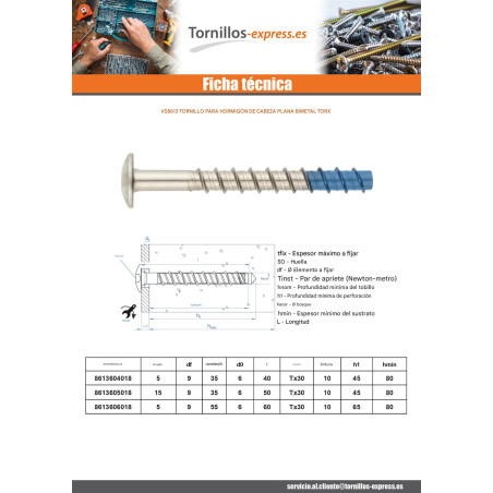 1 x Tornillo hormigón cabeza abombada TORX TORX T30 6X40 Bimetal