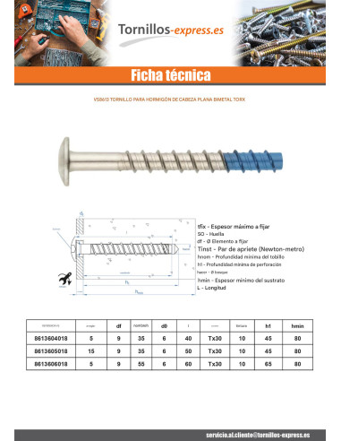 1 x Tornillo hormigón cabeza abombada TORX TORX...