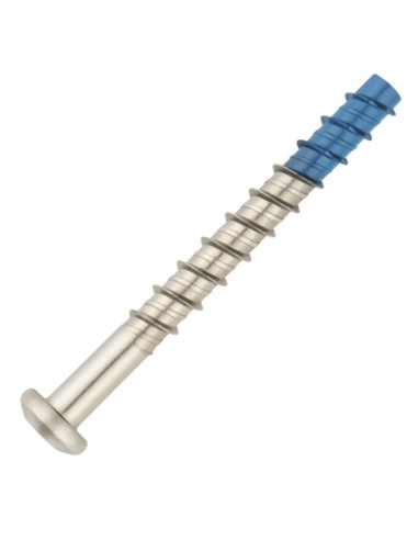 1 x Tornillo hormigón cabeza cilíndrica TORX...