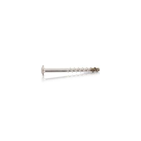 1 x Tornillo hormigón cabeza abombada TORX T30 Inoxidable A4 7.5X50