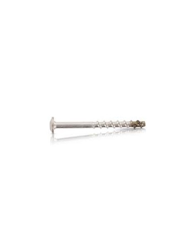 1 x Tornillo hormigón cabeza abombada TORX T30...