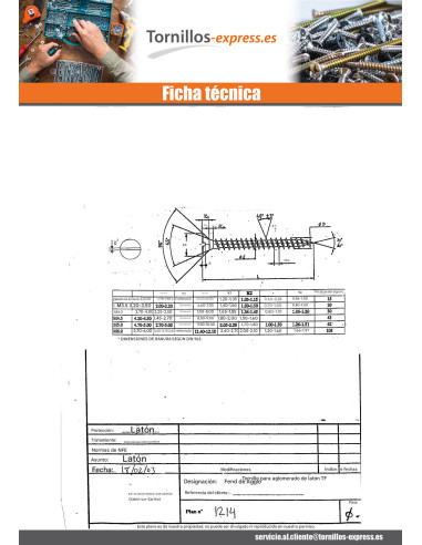 1 x Tornillo madera aglomerado cabeza...