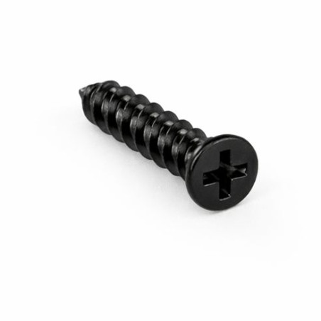 1 x Tornillo autorroscante para plástico cabeza fresada/testa svasat Phillips 0 1.4X5 Acero cincado negro microtornillo