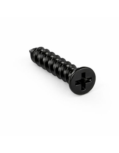 1 x Tornillo autorroscante para plástico cabeza...