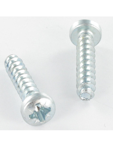 1 x Tornillo pvc cabeza cilíndrica Pozi 6X30...