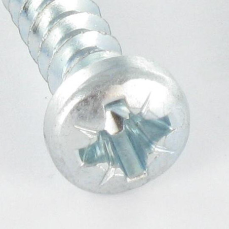 1 x Tornillo pvc cabeza cilíndrica Pozi 6X30 Varilla roscada 40 grado Acero cincado blanco