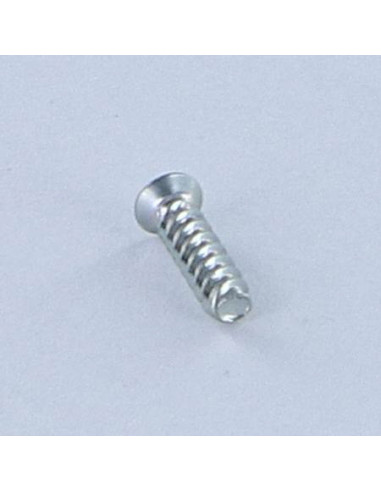 1 x Tornillo autorroscante para plástico cabeza...