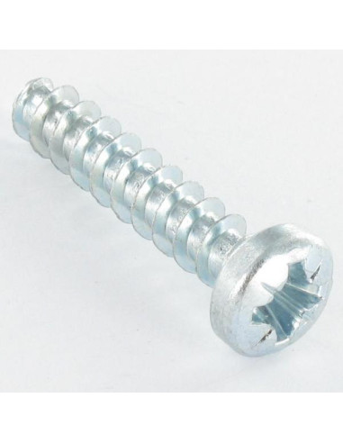 1 x Tornillo pvc cabeza cilíndrica Pozi 6X29...