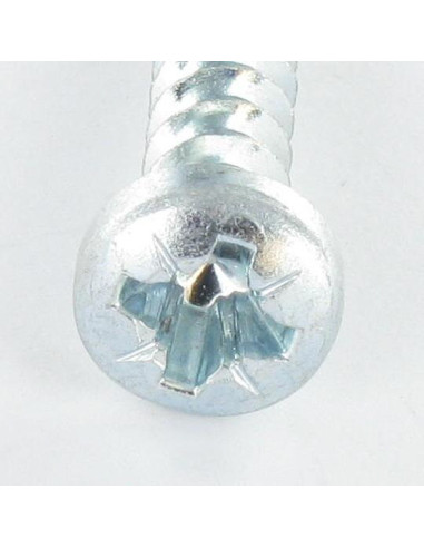 1 x Tornillo pvc cabeza cilíndrica Pozi 6X29...