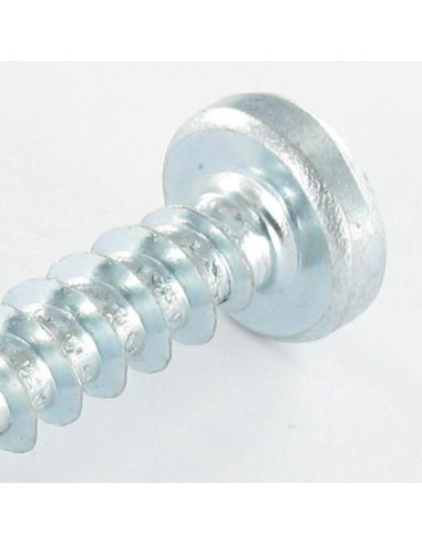 1 x Tornillo pvc cabeza cilíndrica Pozi 6X29...