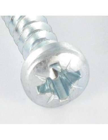 1 x Tornillo pvc cabeza cilíndrica Pozi 6X29...