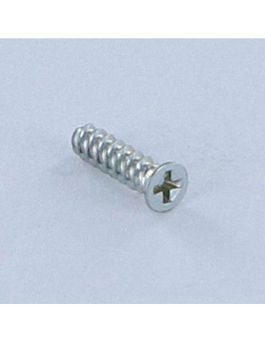 1 x Tornillo autorroscante para plástico cabeza...