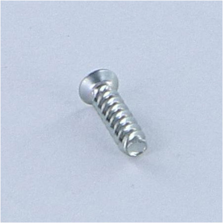 1 x Tornillo autorroscante para plástico cabeza fresada/testa svasat Phillips 0 2.3X10 Acero cincado blanco microtornillo