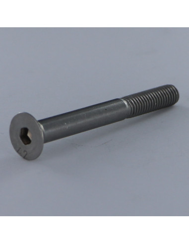 1 x Tornillo metales Inoxidable A2 FHC cabeza...