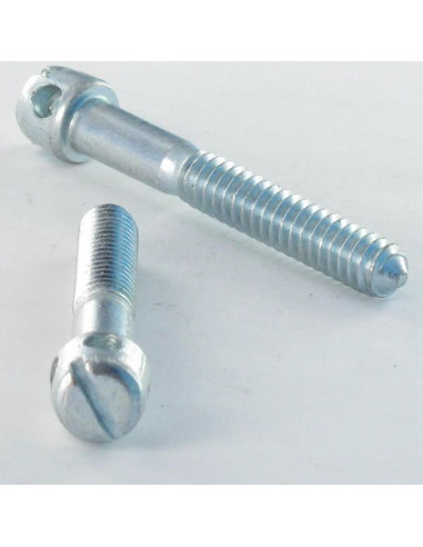 1 x Tornillo ensamblaje lit Acero cincado...
