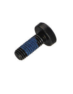 Tornillo metales cabeza abovedada ancha Pozi PZ5 M6X16... 2