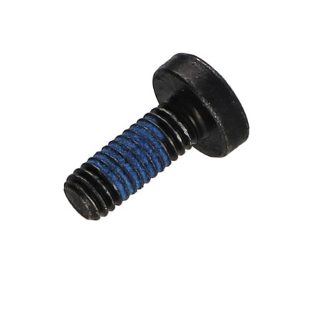 1 x Tornillo metales cabeza abovedada ancha Pozi PZ5 M6X16 Acero cincado negro Freno rosca 3M2353 360°
