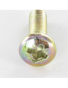 Tornillo metales cabeza abovedada ancha Pozi PZ4 M5X50... 2