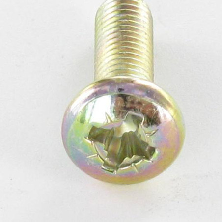 1 x Tornillo metales cabeza abovedada ancha Pozi PZ4 M5X50 Bicromato
