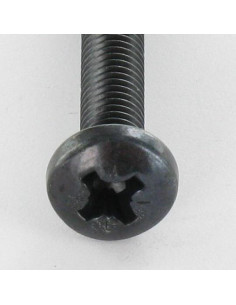 Tornillo metales cabeza abovedada ancha Pozi PZ5 M6X16... 2