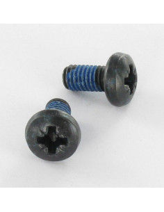 Tornillo metales cabeza abovedada ancha Pozi PZ5 M6X12...
