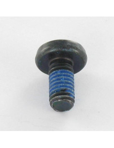 Tornillo metales cabeza abovedada ancha Pozi PZ5 M6X12... 2