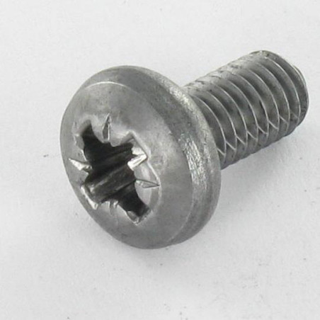 1 x Tornillo metales cabeza abovedada ancha Pozi PZ5 M6X12 Acero bruto