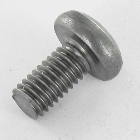 1 x Tornillo metales cabeza abovedada ancha Pozi PZ5 M6X12 Acero bruto