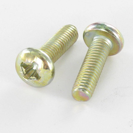 1 x Tornillo metales cabeza abovedada ancha Pozi PZ4 M5X16 Bicromato