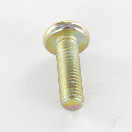 1 x Tornillo metales cabeza abovedada ancha Pozi PZ4 M5X16 Bicromato