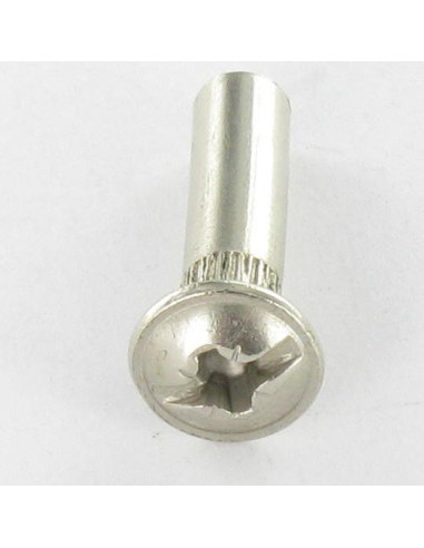 1 x Tuerca encuadernador Pozi ranura M4X15 5X20...