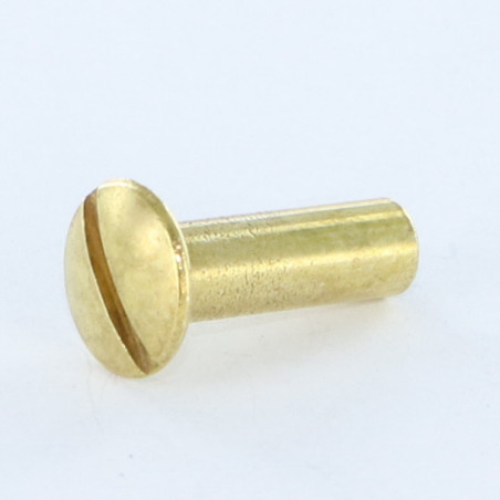 1 x Tuerca encuadernador cabeza abombada ranura M4X12 5X16 Latón