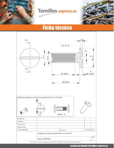 1 x Tuerca encuadernador cabeza abombada ranura...