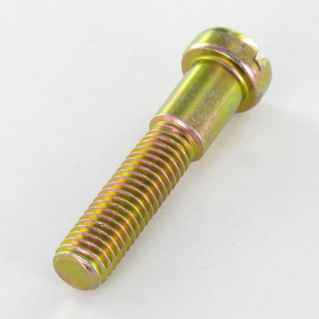 1 x Tornillo metales cabeza cabeza cilíndrica plano ranura M8X40 roscado en 27 Bicromato