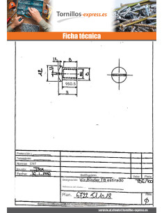 Tuerca encuadernador cabeza abombada ranura 8X9 M6X8 Inox 2