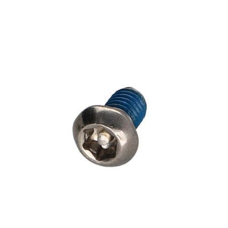 1 x Tornillo metales Inoxidable A2 Seguridad cabeza abombada TORX T30 con tetón M6X10+ Freno rosca
