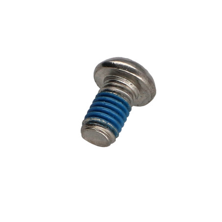 1 x Tornillo metales Inoxidable A2 Seguridad cabeza abombada TORX T30 con tetón M6X10+ Freno rosca